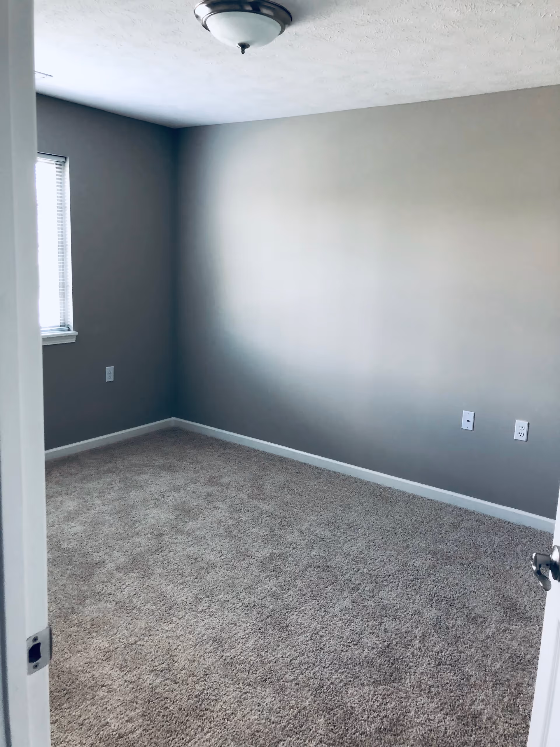 Empty room with beige carpet, light gray walls, a window with blinds on the left wall, and a ceiling light fixture. The door is partially open, showing a silver door handle.