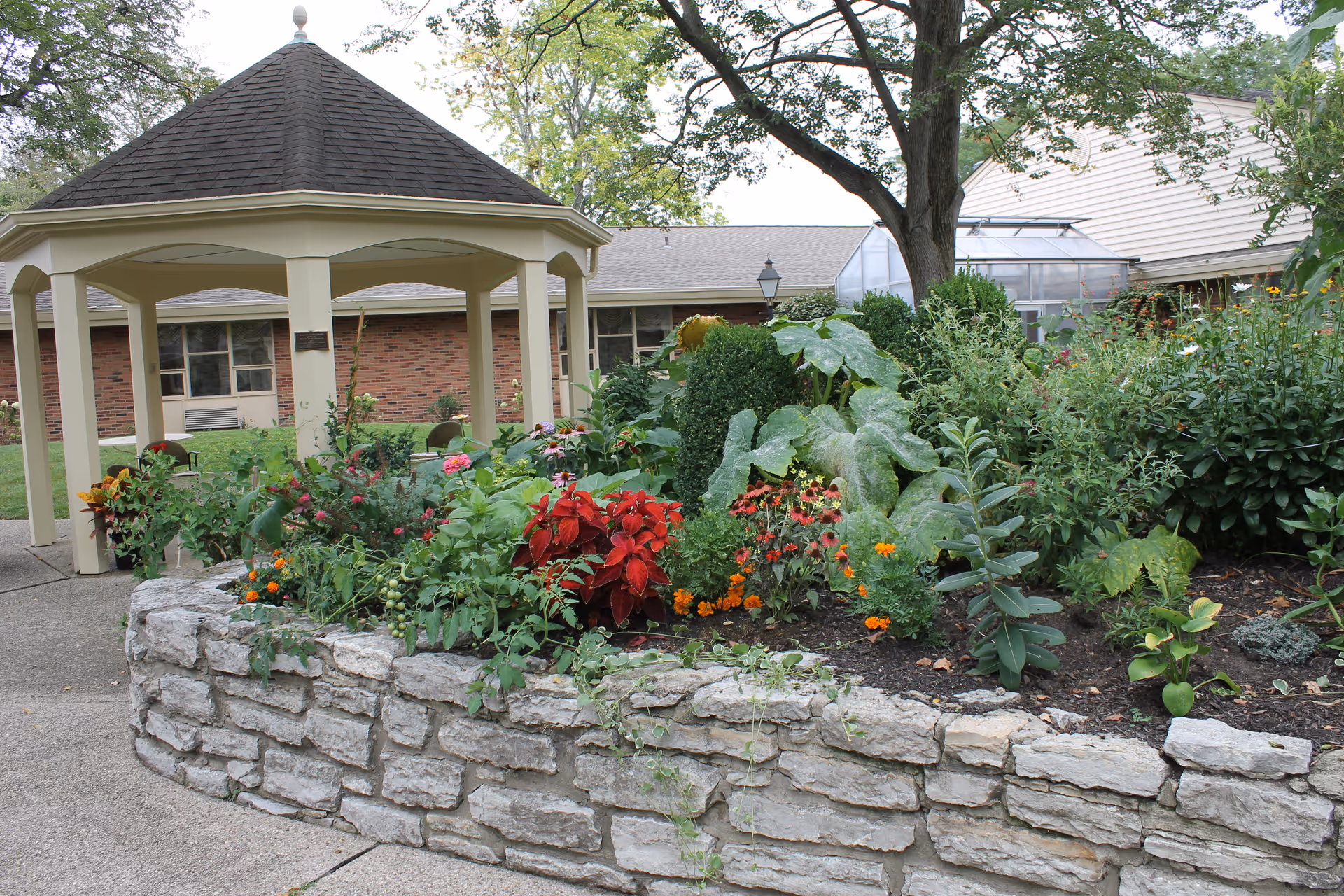 A garden area with a variety of colorful flowers and green plants surrounded by a low stone wall. Behind the garden is a beige gazebo with a dark shingled roof, and in the background, there is a brick building with windows and a greenhouse structure. A large tree provides shade over the garden.