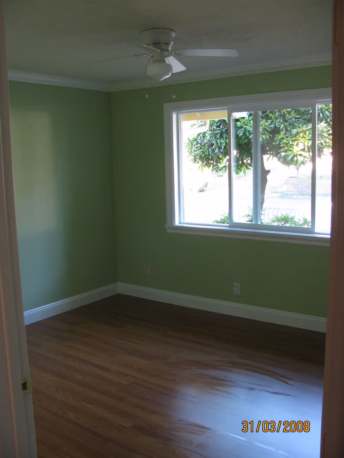 Empty room with green walls, hardwood floor, a ceiling fan, and a window showing a tree outside.