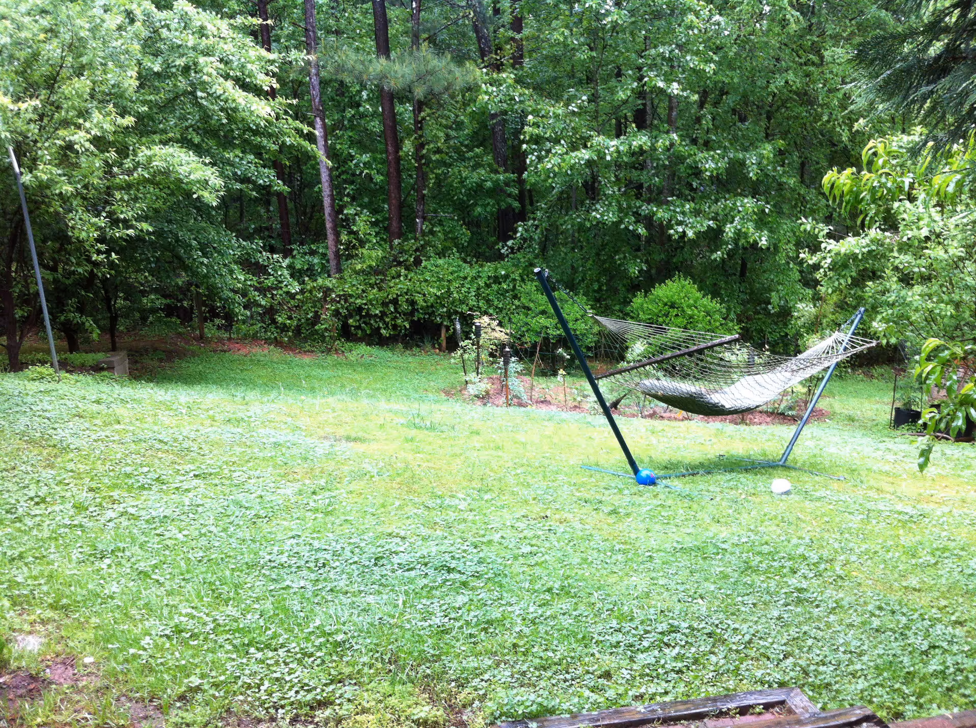 A lush green backyard with dense trees and bushes in the background. There is a hammock with a metal stand placed on the grass, and the area appears to be well-shaded and tranquil.