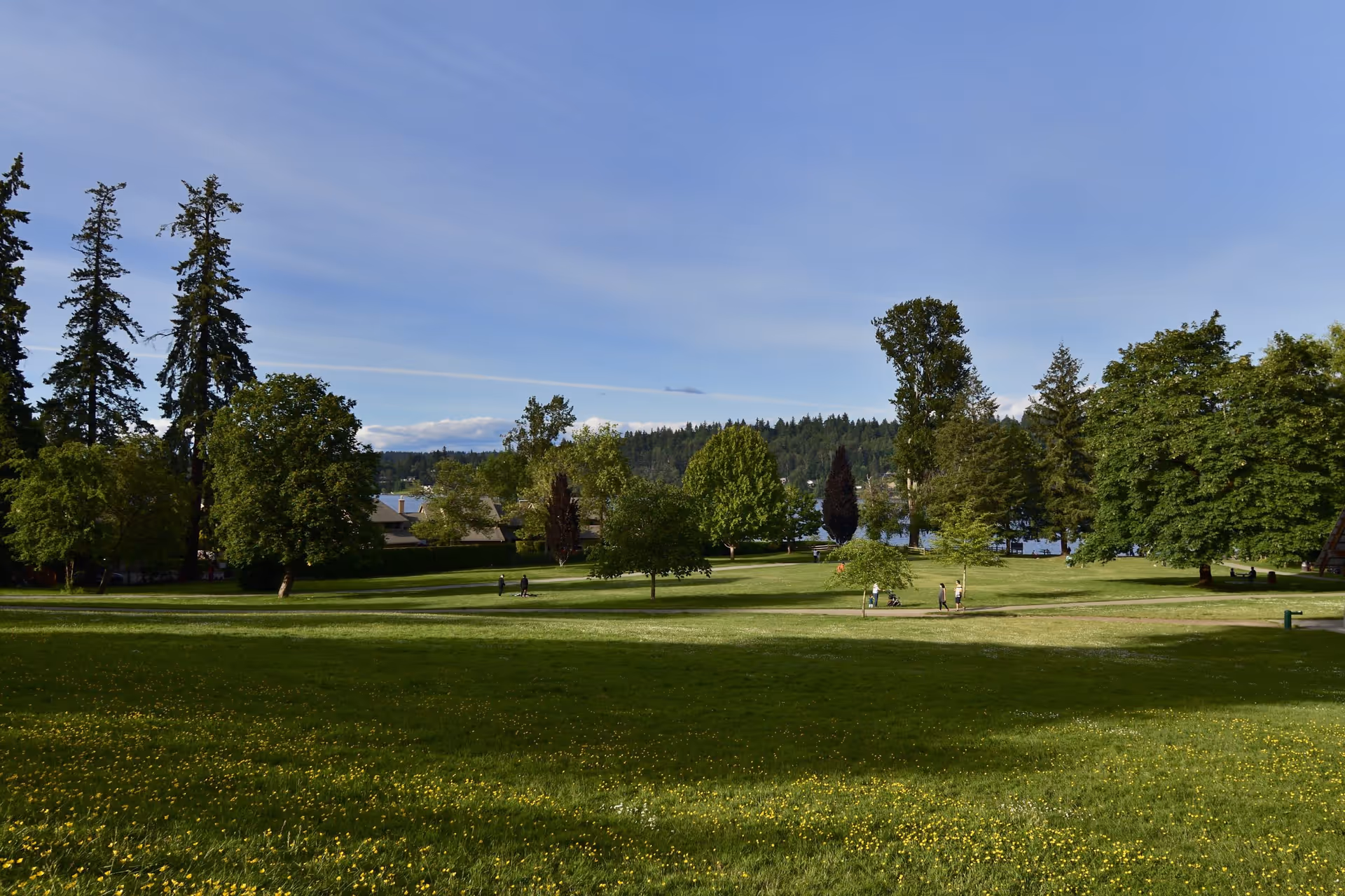 A large green park area with scattered trees and a few people walking on paths. In the background, there are houses and a forested hill under a clear blue sky.