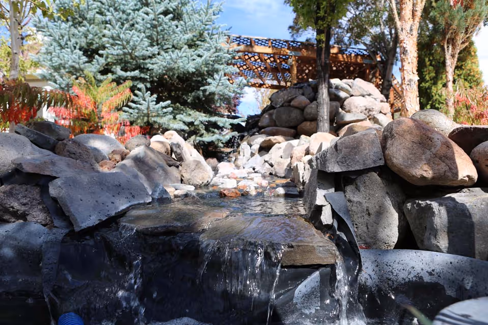 A landscaped outdoor water feature with a small waterfall flowing over rocks surrounded by various trees and plants, with a wooden pergola structure visible in the background under a clear blue sky.