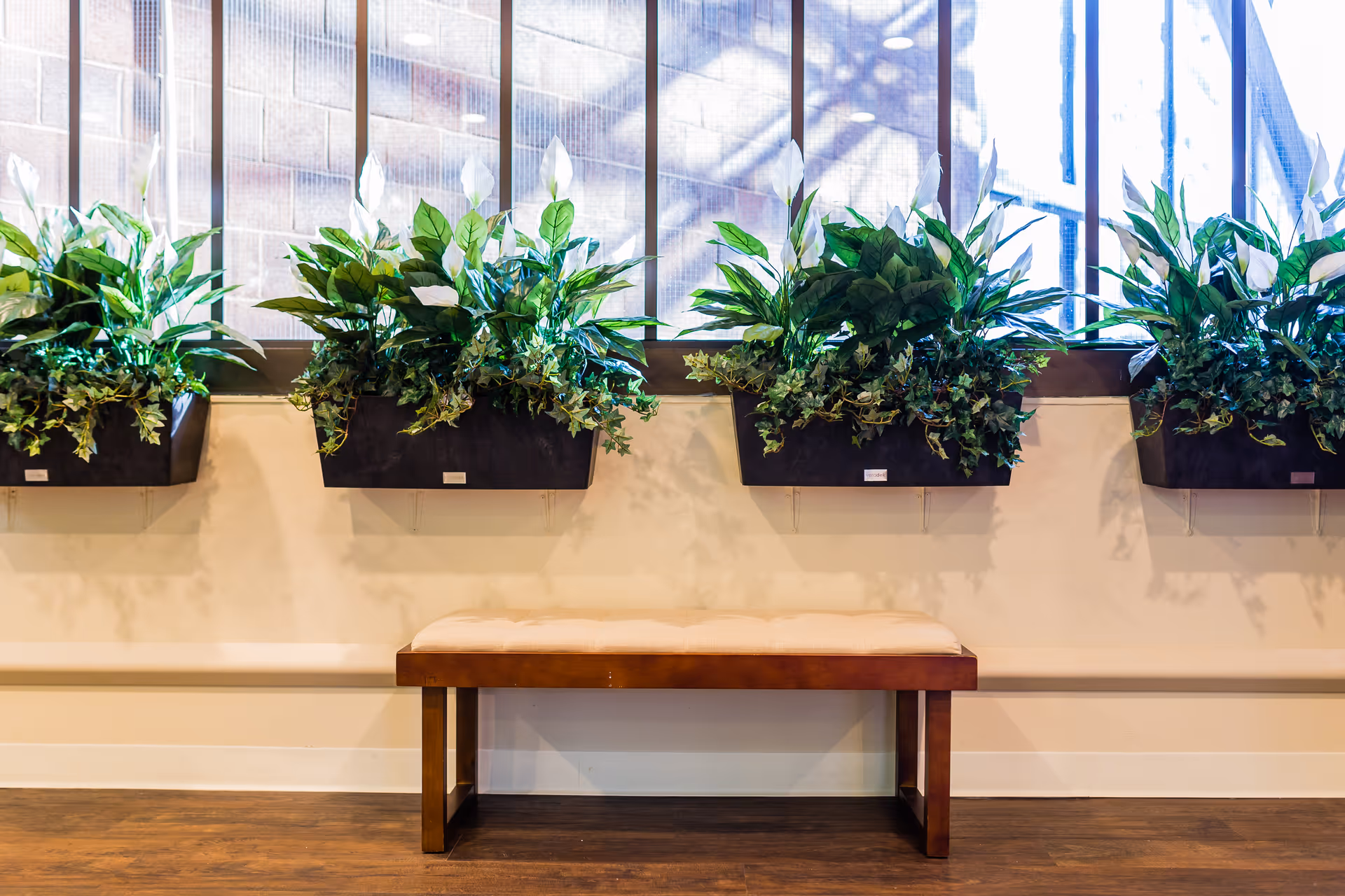 A wooden bench with a cushioned seat placed against a wall beneath large windows. Above the bench, there are four black rectangular planters mounted on the wall, each filled with green leafy plants and white flowers. The floor is wooden, and natural light is coming through the windows.
