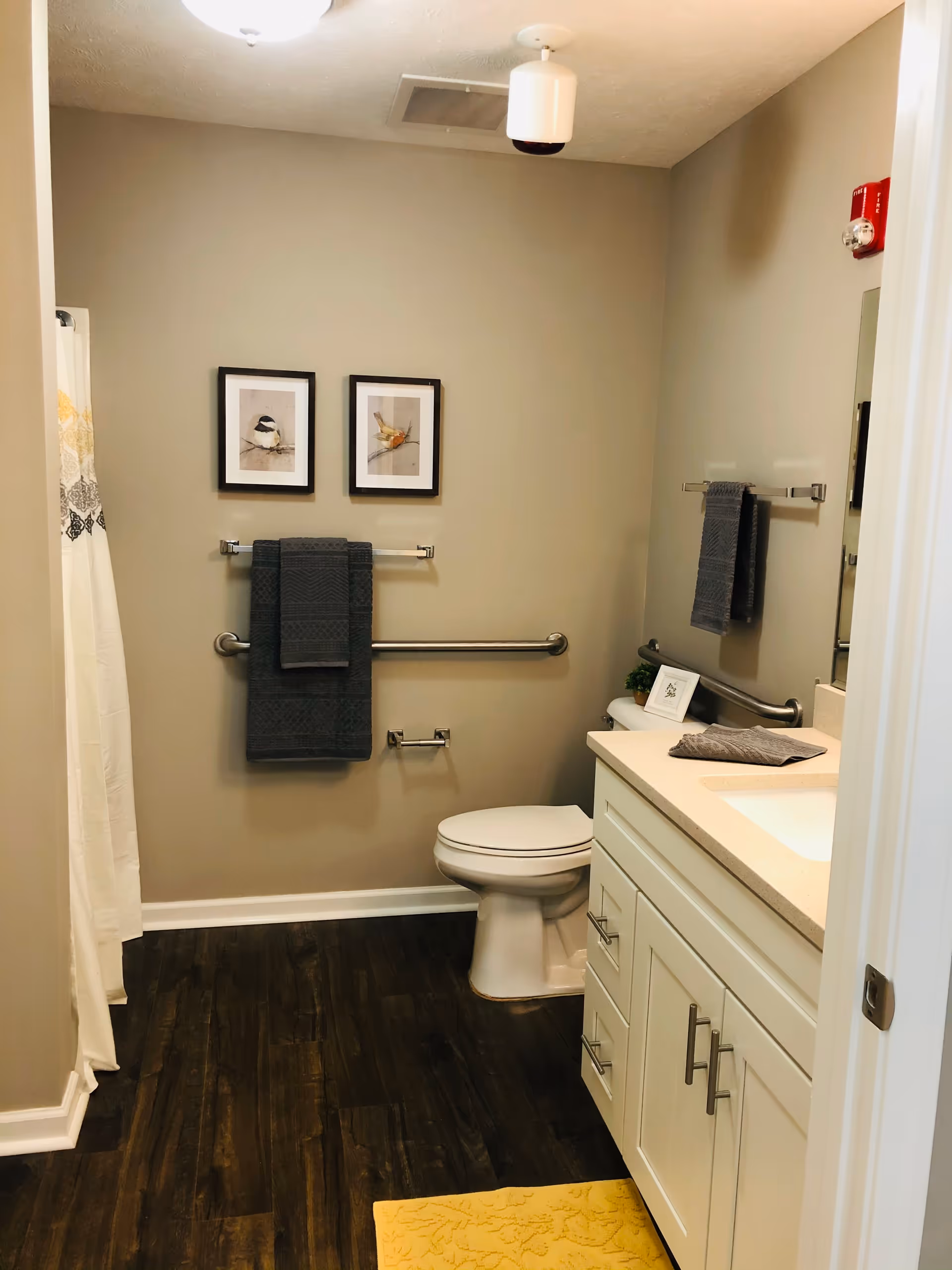 A clean and modern bathroom with beige walls and dark wood flooring. The room features a white toilet, a white vanity with a sink, and a countertop with a folded towel. There are two framed bird pictures on the wall above a towel rack holding dark gray towels. A shower curtain is partially visible on the left side. Safety grab bars are installed near the toilet and along the wall.