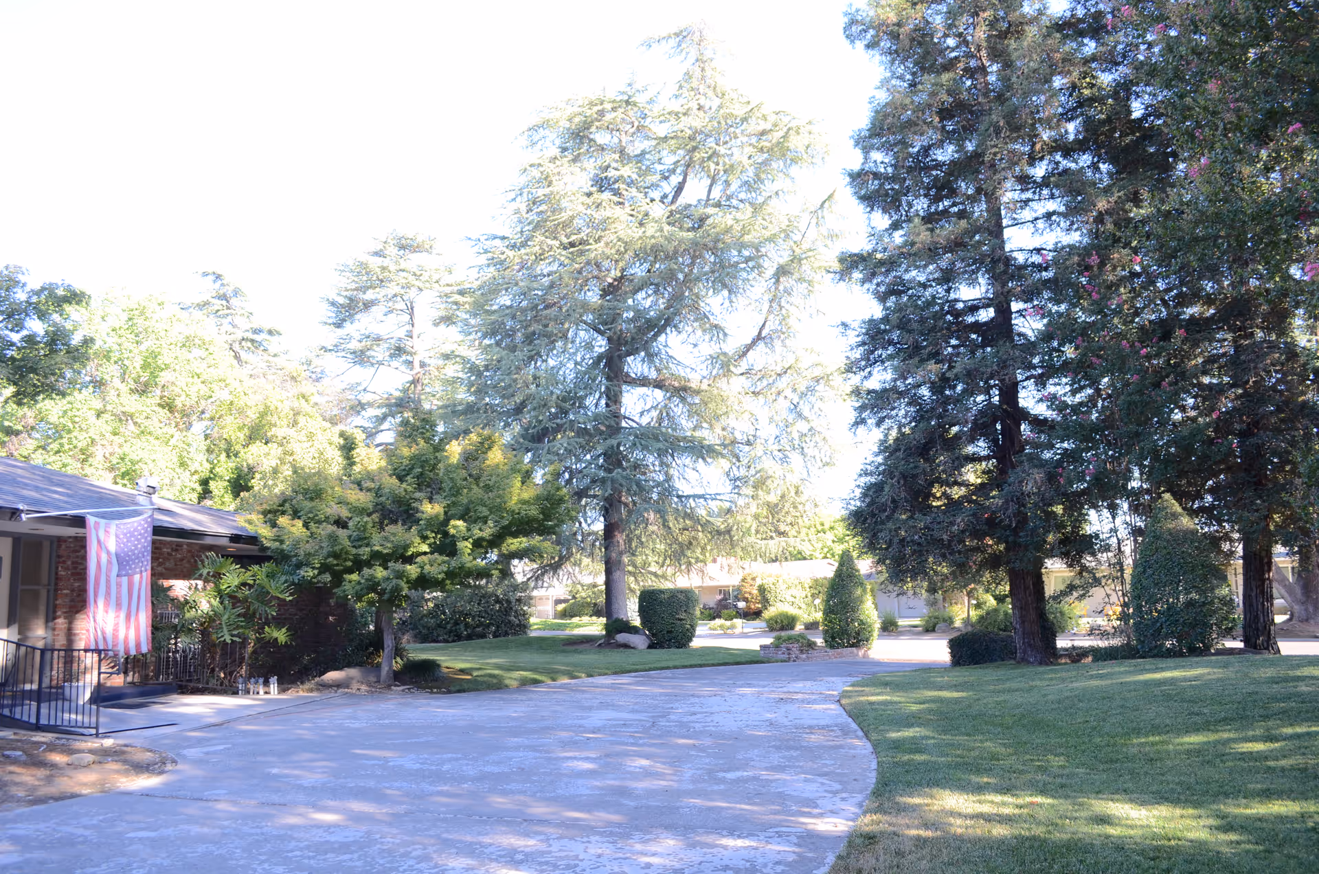 Driveway and landscaped front yard with large trees and a small building displaying an American flag.