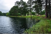 Tree-lined lake shoreline with grassy banks and residential buildings visible through the trees.