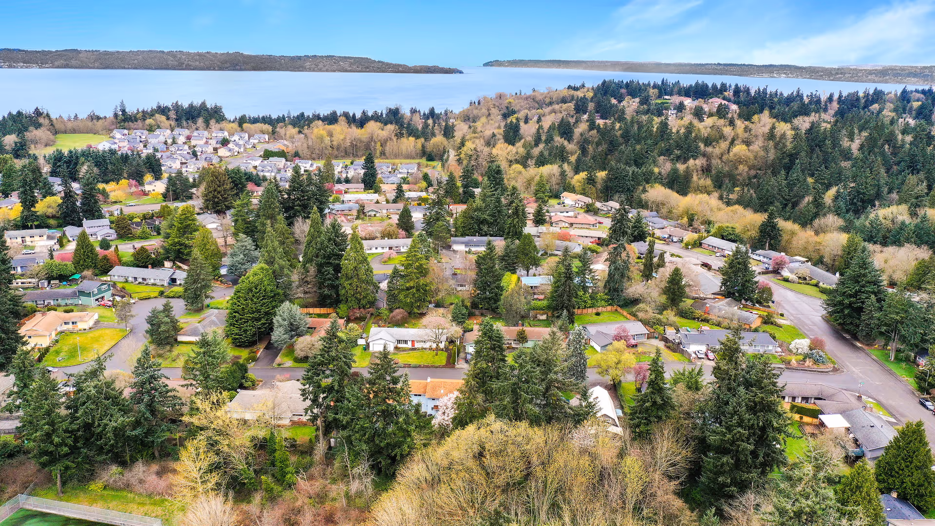 Aerial view of a residential neighborhood surrounded by dense trees and greenery, with a large body of water visible in the background under a clear sky.