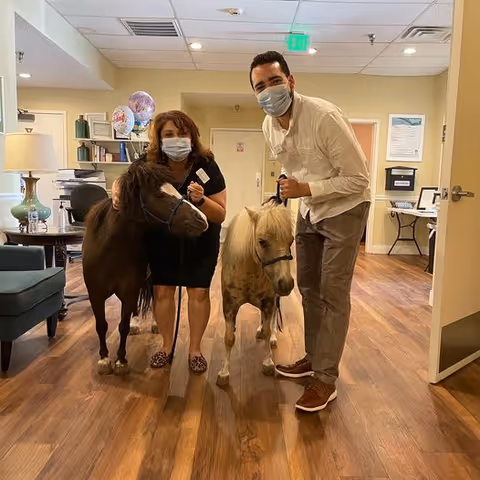 Two people wearing face masks standing indoors on a wooden floor, each holding a small pony on a leash. The room has beige walls, a green armchair, a lamp, and some shelves with books and balloons in the background.