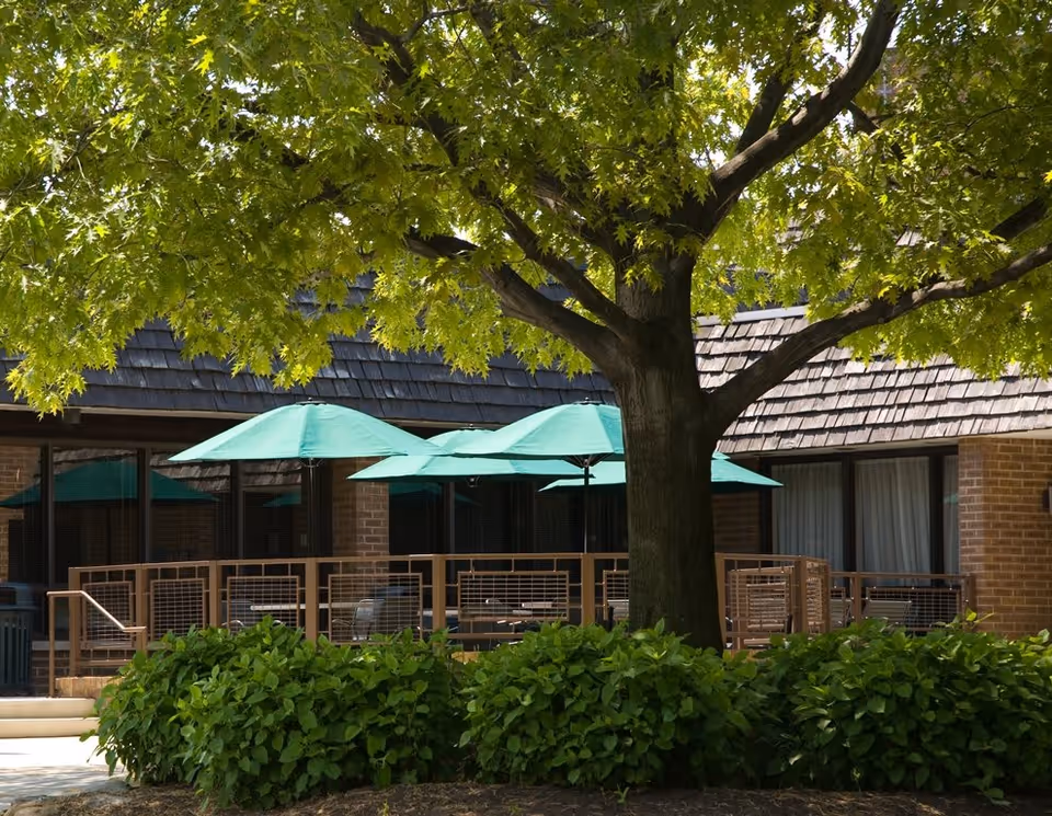 Outdoor patio area at Judson Park senior living community with green umbrellas over tables and chairs, surrounded by lush green bushes and a large tree providing shade.