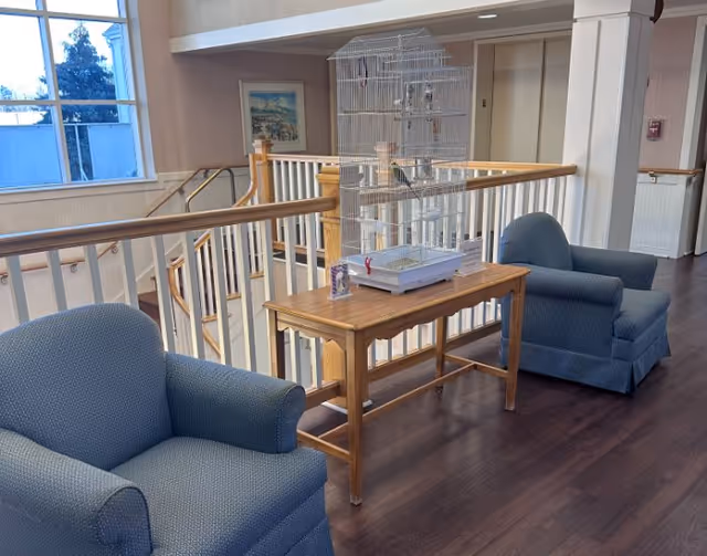 Two blue upholstered armchairs facing each other with a wooden table between them holding a birdcage. The setting is an indoor area with wooden flooring, white railings, and a large window letting in natural light.