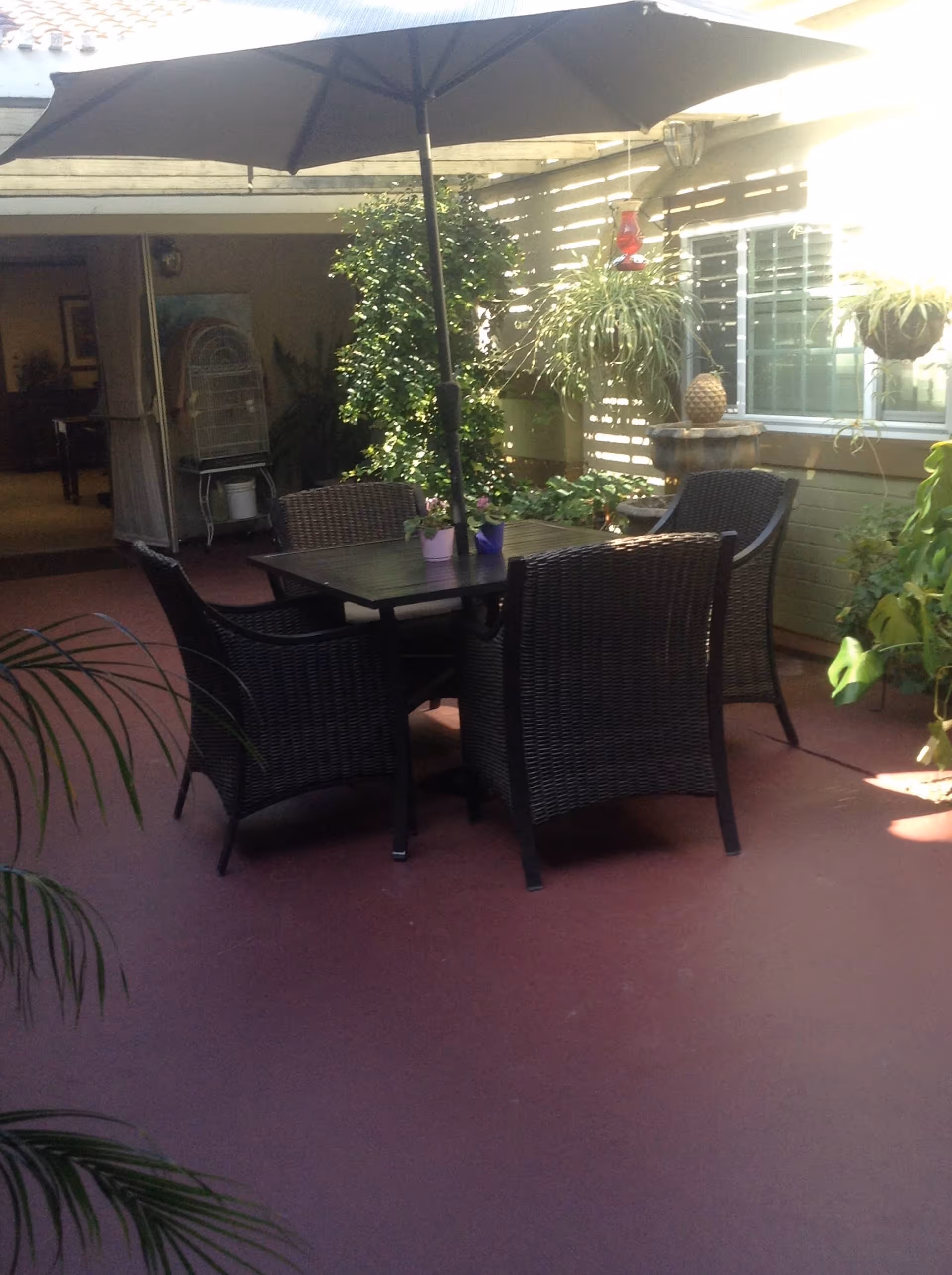 Outdoor patio area with a square table surrounded by four wicker chairs and a large umbrella providing shade. There are potted plants on the table and various greenery around the patio, including hanging plants and a bush. A window and part of the building exterior are visible in the background.