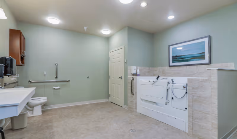 Spacious accessible bathroom with a walk-in bathtub, toilet, sink, grab bars, and framed artwork on the wall.