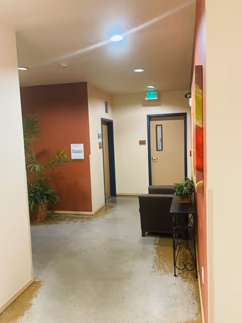 Interior hallway with polished concrete floor, beige and reddish-brown walls, a potted plant in a wicker basket, a dark armchair, a small table with a plant on it, and two closed doors. Ceiling lights illuminate the space and an exit sign is visible above one door.