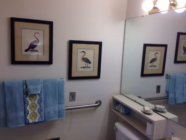 Small bathroom with framed bird prints, blue towels on a grab bar, a mirror, light fixtures, and a shelf above the toilet.