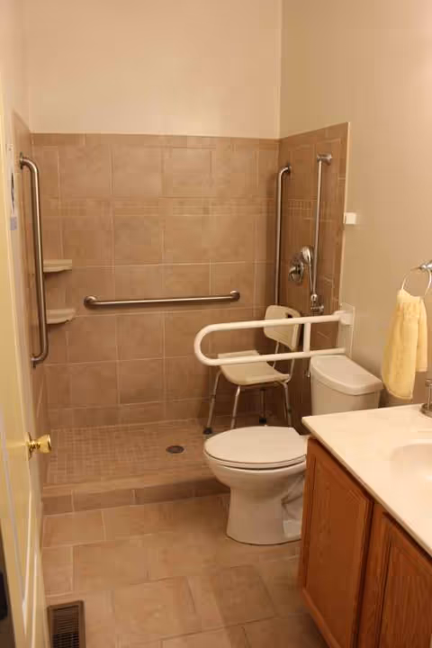 Accessible bathroom with walk-in shower, grab bars, and a toilet beside a vanity.