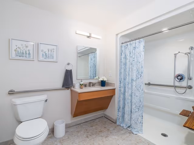 Accessible bathroom with a toilet, wall-mounted vanity and mirror, towel ring, and a walk-in shower with grab bars and a blue patterned curtain.