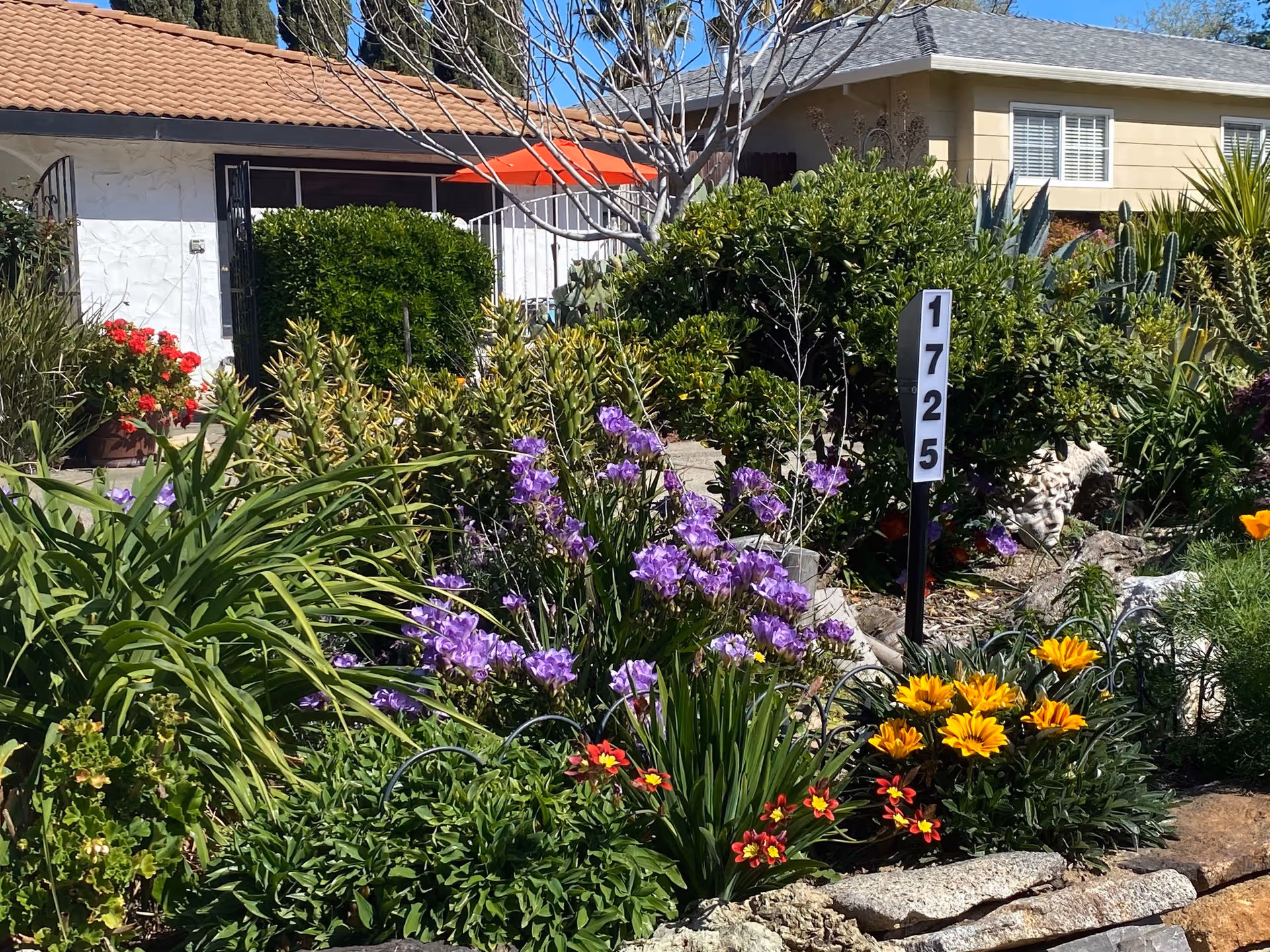 A vibrant garden in front of a residential building with various green plants, purple and yellow flowers, and a white address marker displaying the number 1725. The building has a beige exterior with white window shutters and a red-tiled roof. There is a red umbrella partially visible behind some bushes.