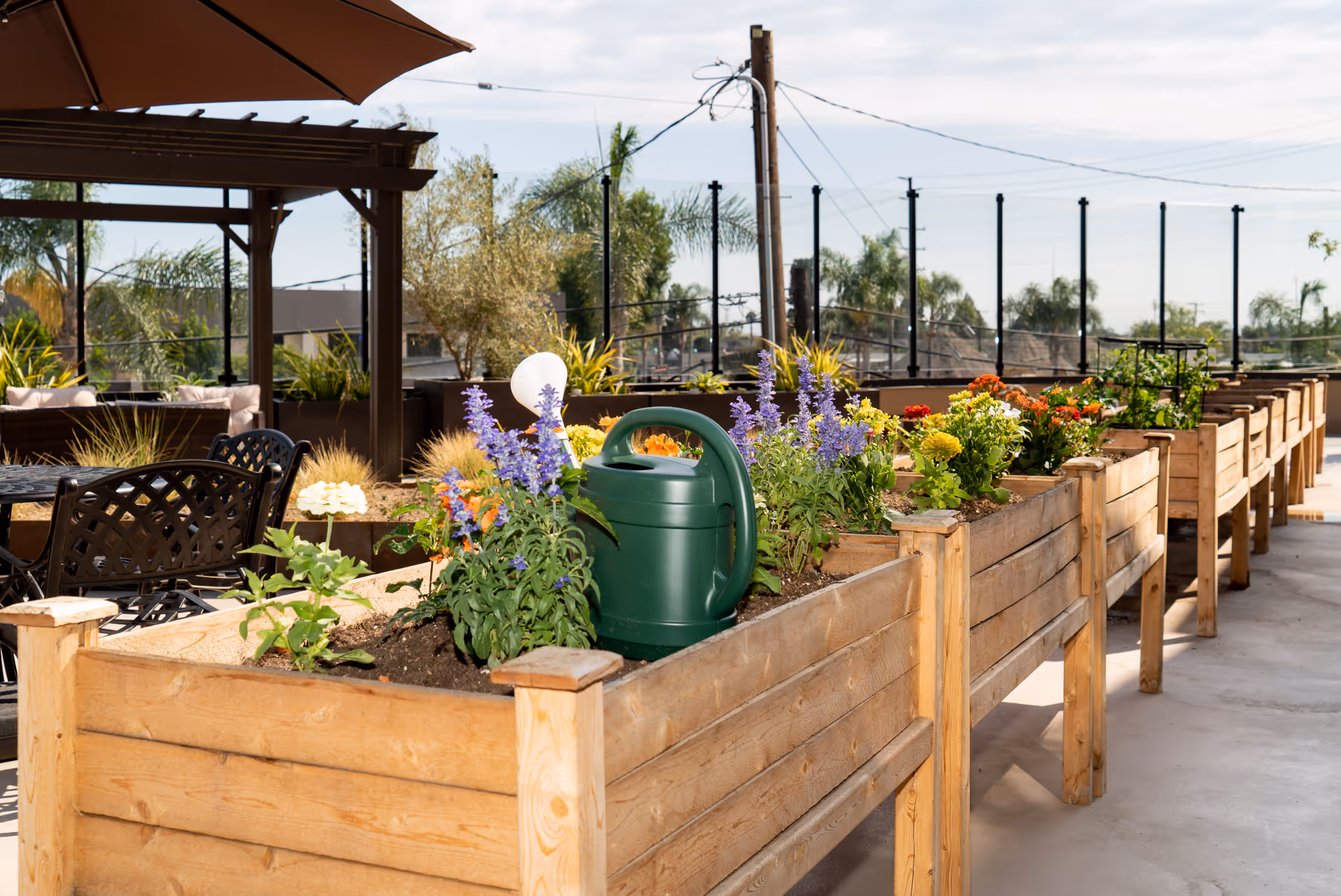 Raised wooden garden beds filled with various blooming flowers and plants on a sunny patio. A green watering can is placed in one of the garden beds. In the background, there is outdoor seating with a large umbrella and some palm trees visible.