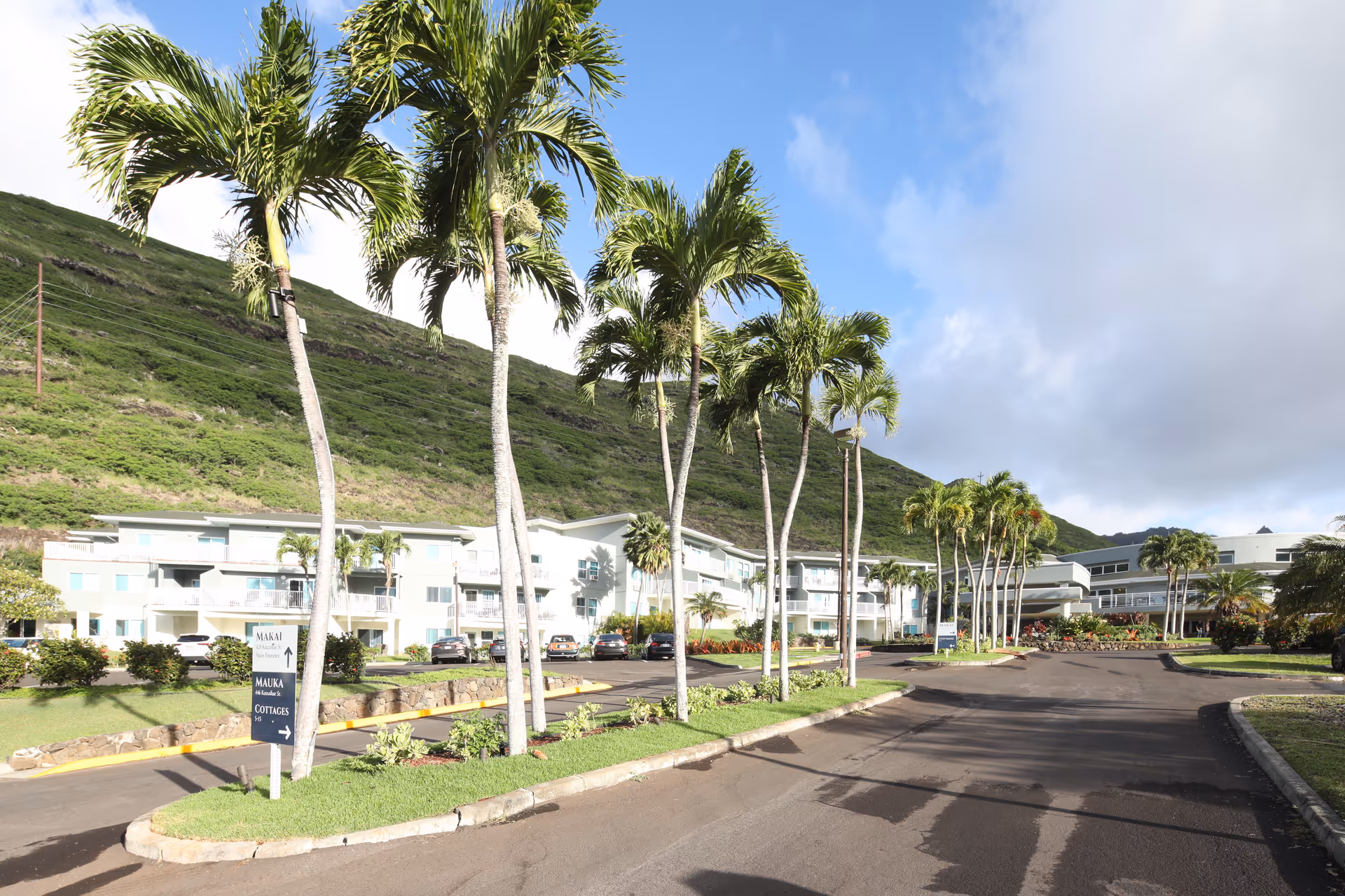 Exterior view of The Ivy at Hawaii Kai senior living facility with palm trees lining the driveway, a green hillside in the background, and a clear blue sky with some clouds.
