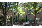 Outdoor courtyard with trees, patio tables and chairs and umbrellas beside a brick building.