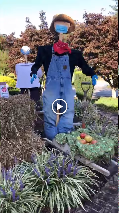 A scarecrow dressed in blue overalls, a black shirt, a red bandana, blue gloves, a straw hat, and a blue face mask stands in a garden area. There is a wheelbarrow filled with apples and covered with a green cloth in front of the scarecrow. To the left, there is a bale of hay and another figure in the background wearing a white shirt and a white hat. The scene is outdoors with trees and plants surrounding the area.