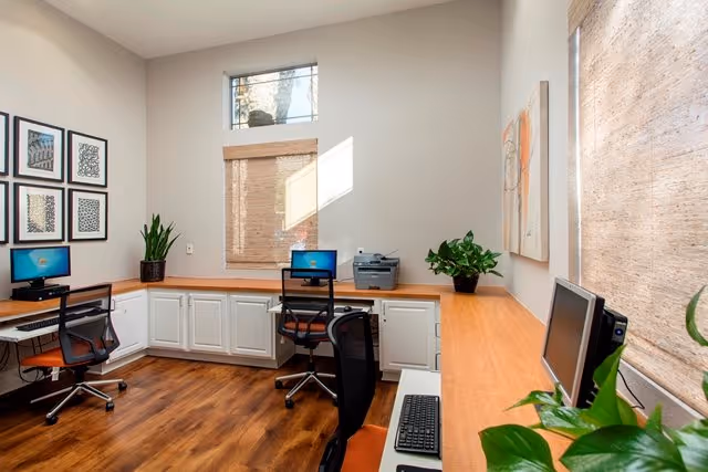 Small communal office with desks, computers, chairs, a printer and plants under high windows.