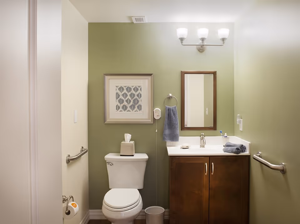 A small bathroom with light green walls featuring a white toilet with a tissue box on top, a wooden vanity with a white countertop, a mirror above the sink, a blue hand towel hanging on a ring, and a framed artwork on the wall. There are grab bars on both sides of the bathroom for support.