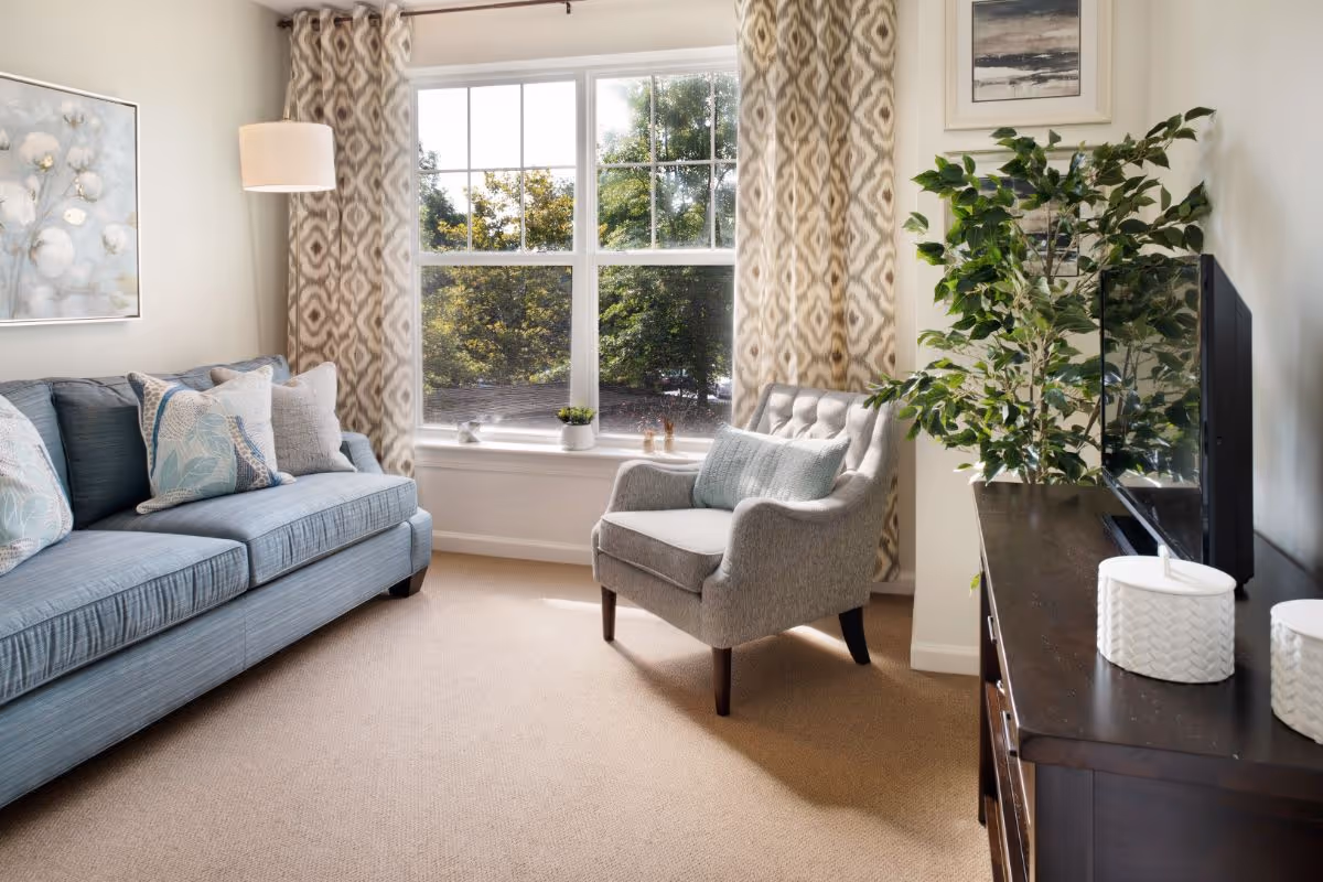 Sunlit living room with a blue sofa, upholstered armchair by a large window, TV on a wooden console and a potted plant.
