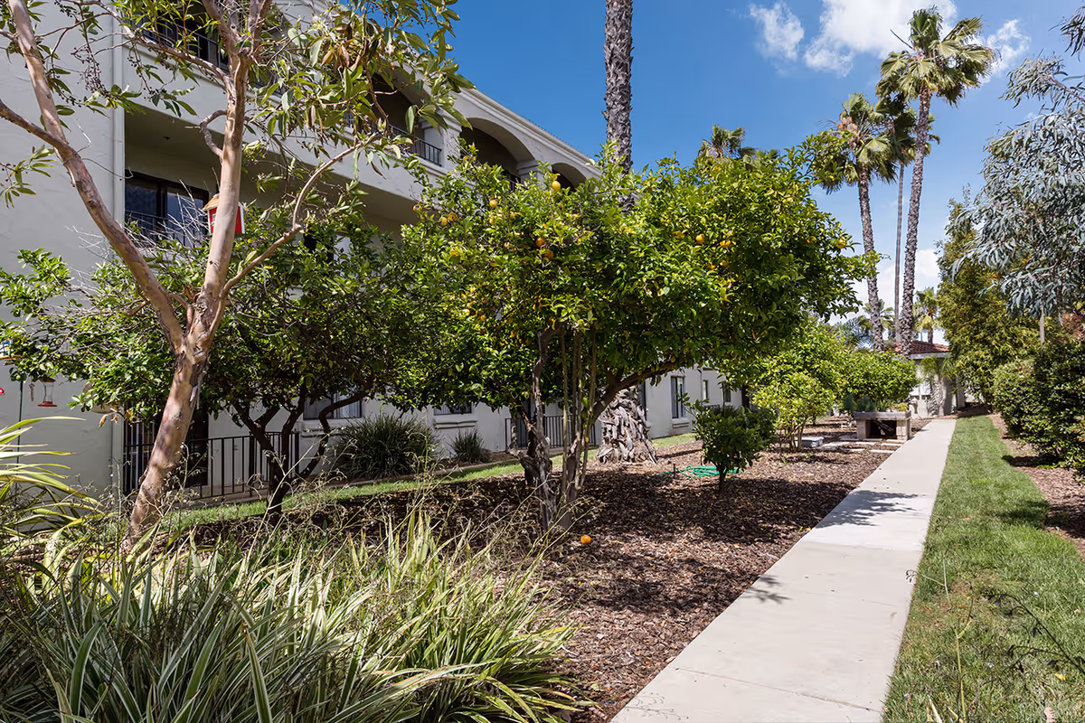Outdoor garden area at Las Villas Del Norte with a concrete walkway, green grass, various trees including citrus trees with fruit, and a multi-story building with balconies in the background under a blue sky with some clouds.