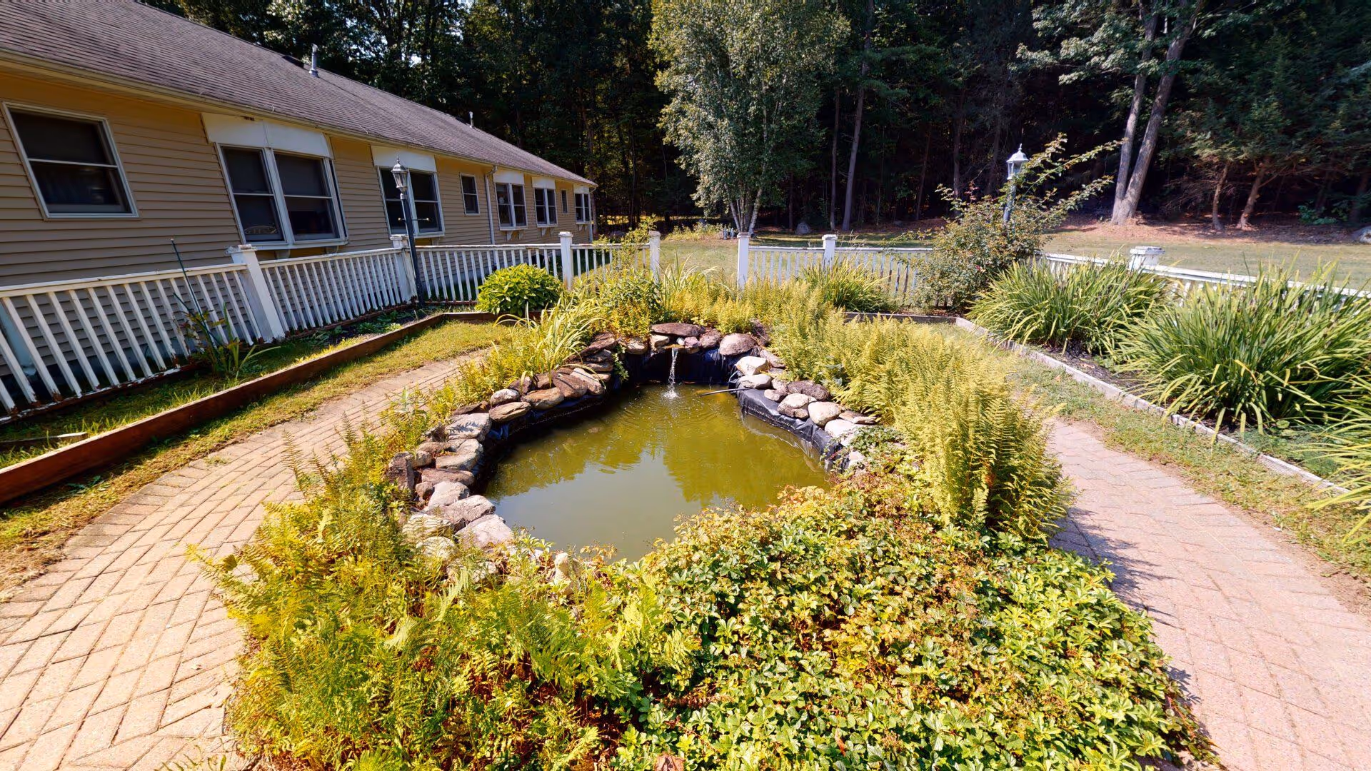 A small landscaped pond surrounded by rocks and lush green plants in an outdoor garden area. A paved walkway encircles the pond, and a beige building with white railings and multiple windows is visible on the left side. Trees and more greenery are in the background under a clear sky.