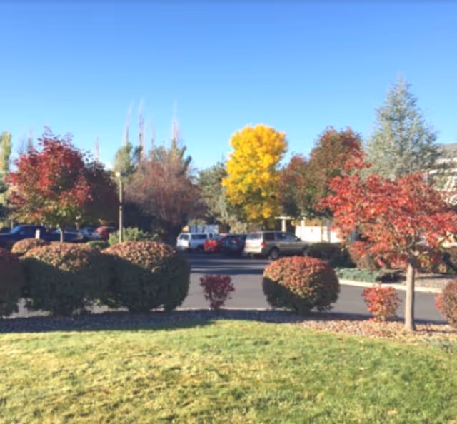 Outdoor view of a parking lot surrounded by various trees and bushes with autumn foliage under a clear blue sky.