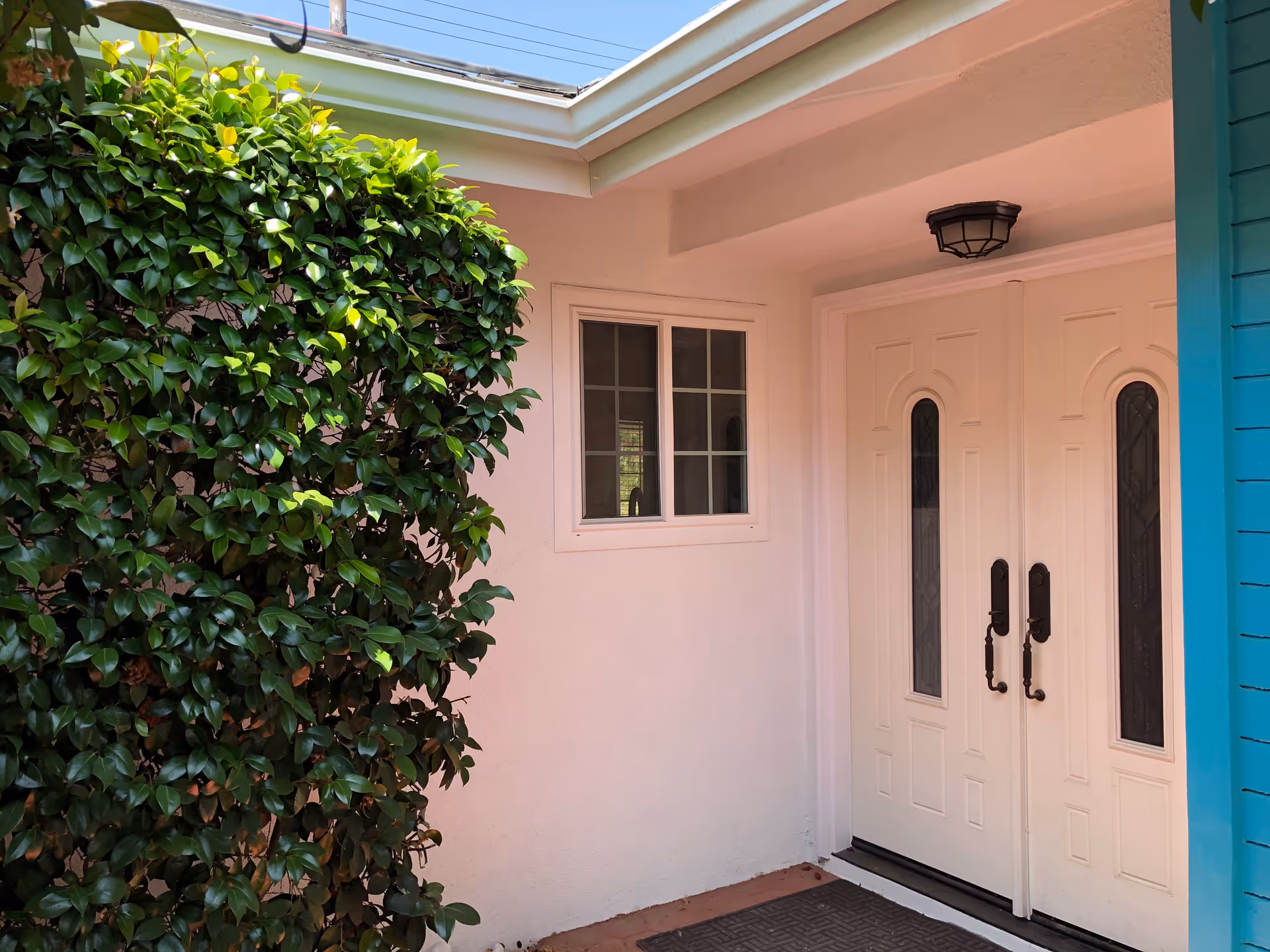 Entrance area of a building with double white doors featuring decorative glass panels, a small window to the left, a green leafy bush, and a blue wall on the right side under a covered porch with a ceiling light.