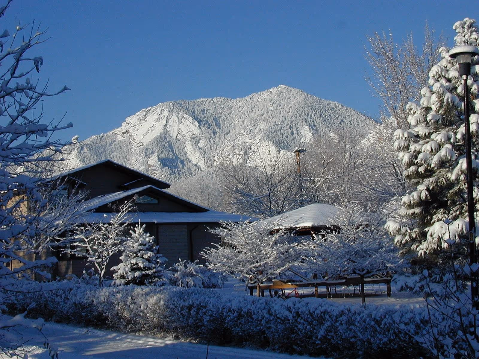 Snow-covered outdoor area with trees, bushes, and a building in the foreground, and a large snow-covered mountain under a clear blue sky in the background.