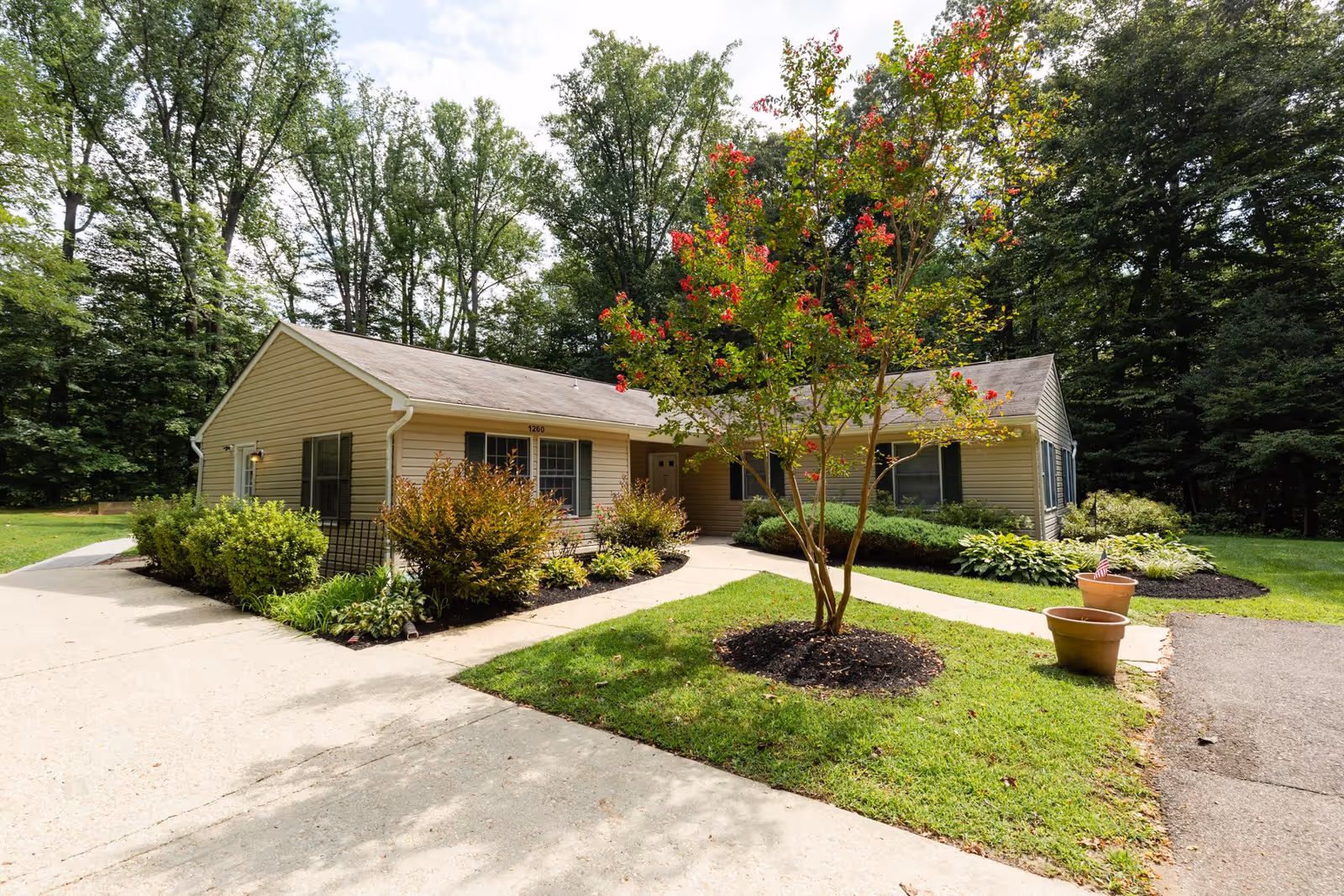 Single-story beige building with green shutters surrounded by trees and landscaped bushes, featuring a concrete walkway and a small tree with red flowers in the front yard.