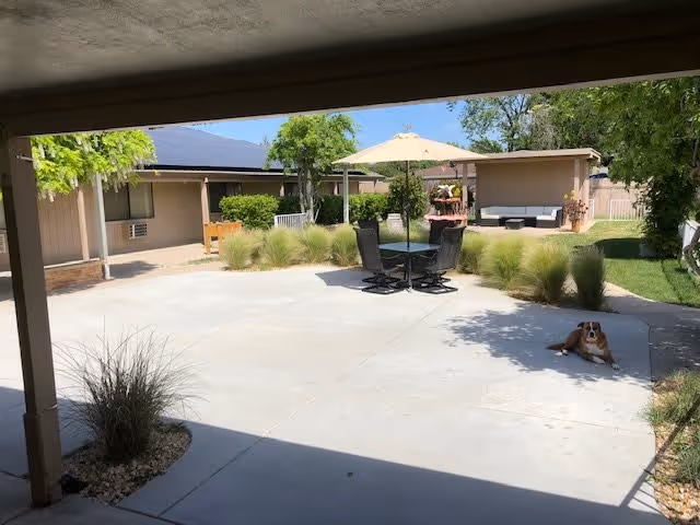 Outdoor patio area at Solano Life House with a round table, four chairs, and a large umbrella. Surrounding the patio are bushes, grass, and a few trees. A dog is lying on the concrete surface to the right side of the patio. The area is partially shaded by a roof structure in the foreground.