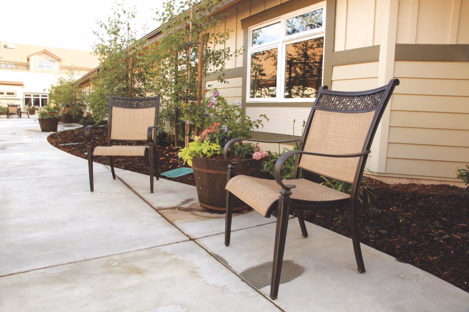 Outdoor patio area with two metal and mesh chairs placed on a concrete walkway next to a building. There are potted plants with flowers and small trees along the side of the building, which has beige siding and windows reflecting the surroundings.