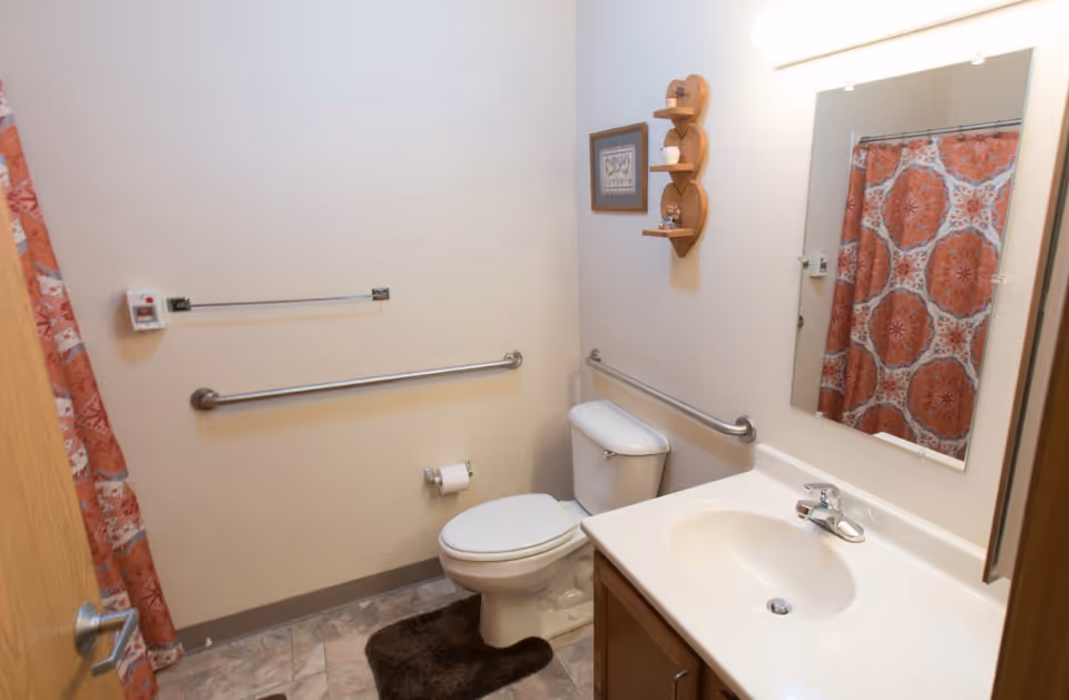 Accessible bathroom with a toilet, sink and mirror, grab bars, and a patterned shower curtain.