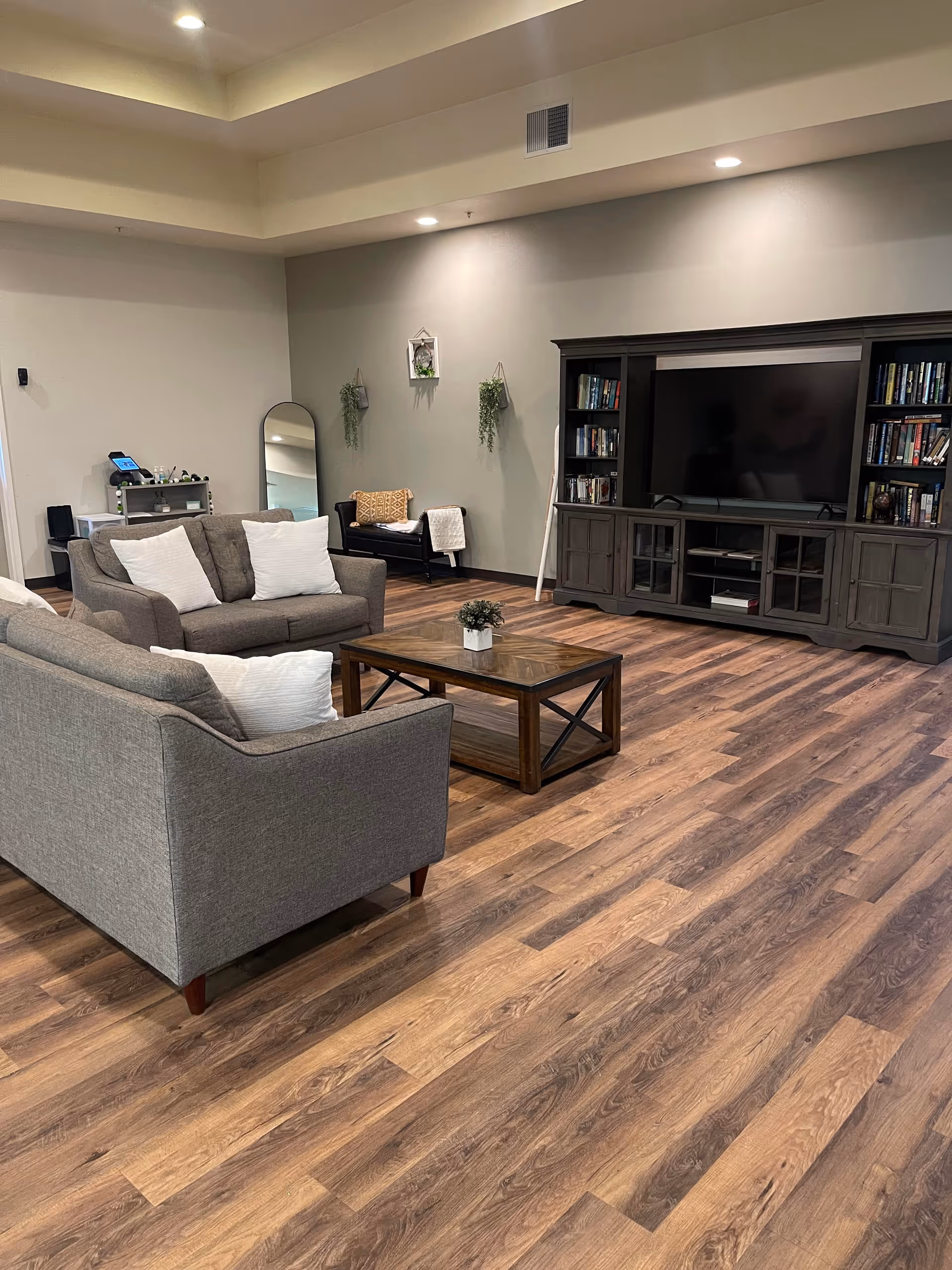 A cozy living room with two gray sofas facing a wooden coffee table. A large entertainment center with a flat-screen TV and bookshelves is against the wall. The room has wood flooring, a tall mirror, a small bench with cushions, and some hanging plants on the wall.
