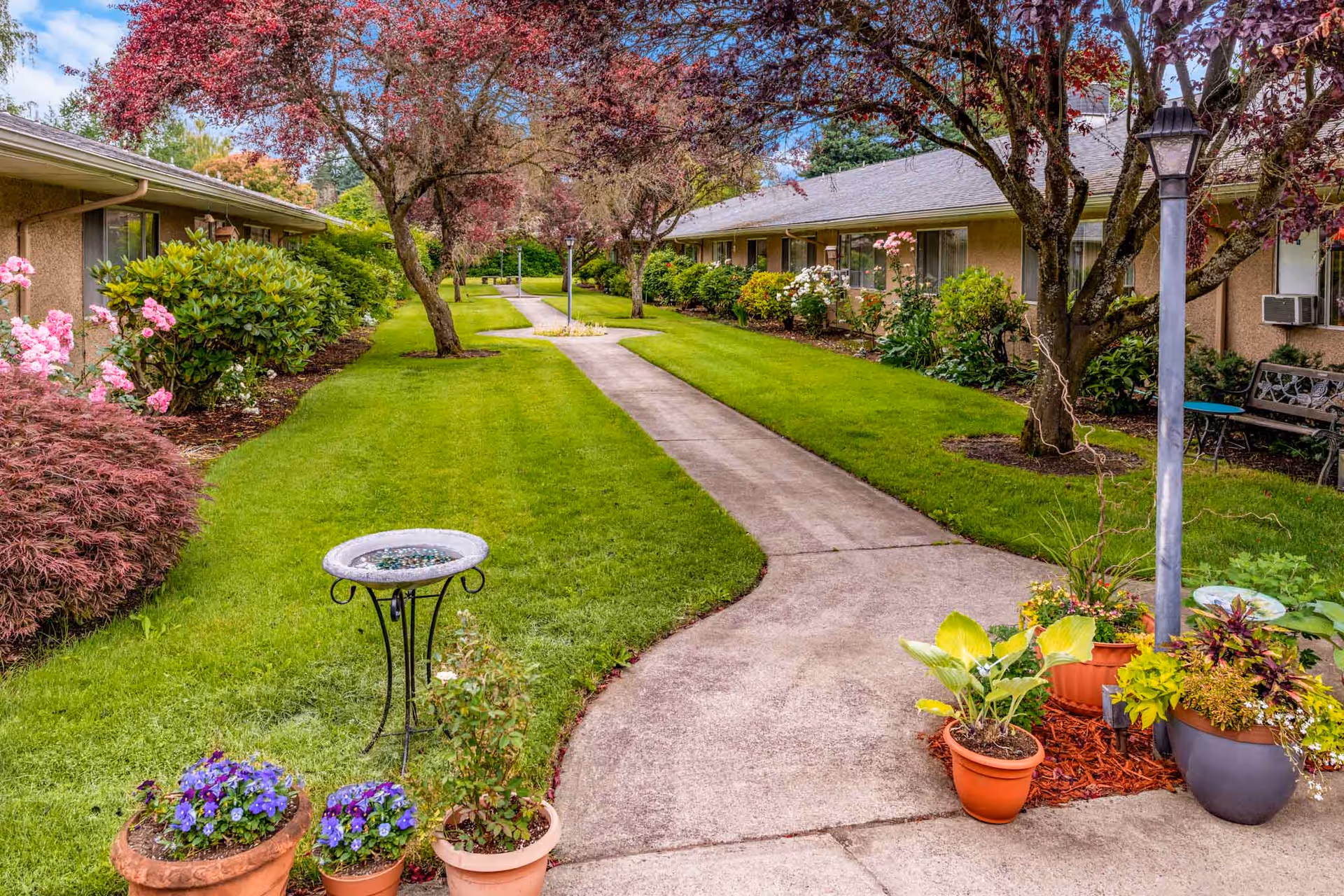 A well-maintained outdoor garden area at Kamlu Retirement Inn-Vancouver featuring a concrete pathway lined with green grass, flowering plants in pots, and trees with reddish leaves. The pathway runs between two single-story buildings with windows and bushes along the sides. There is a birdbath and a lamp post near the pathway.