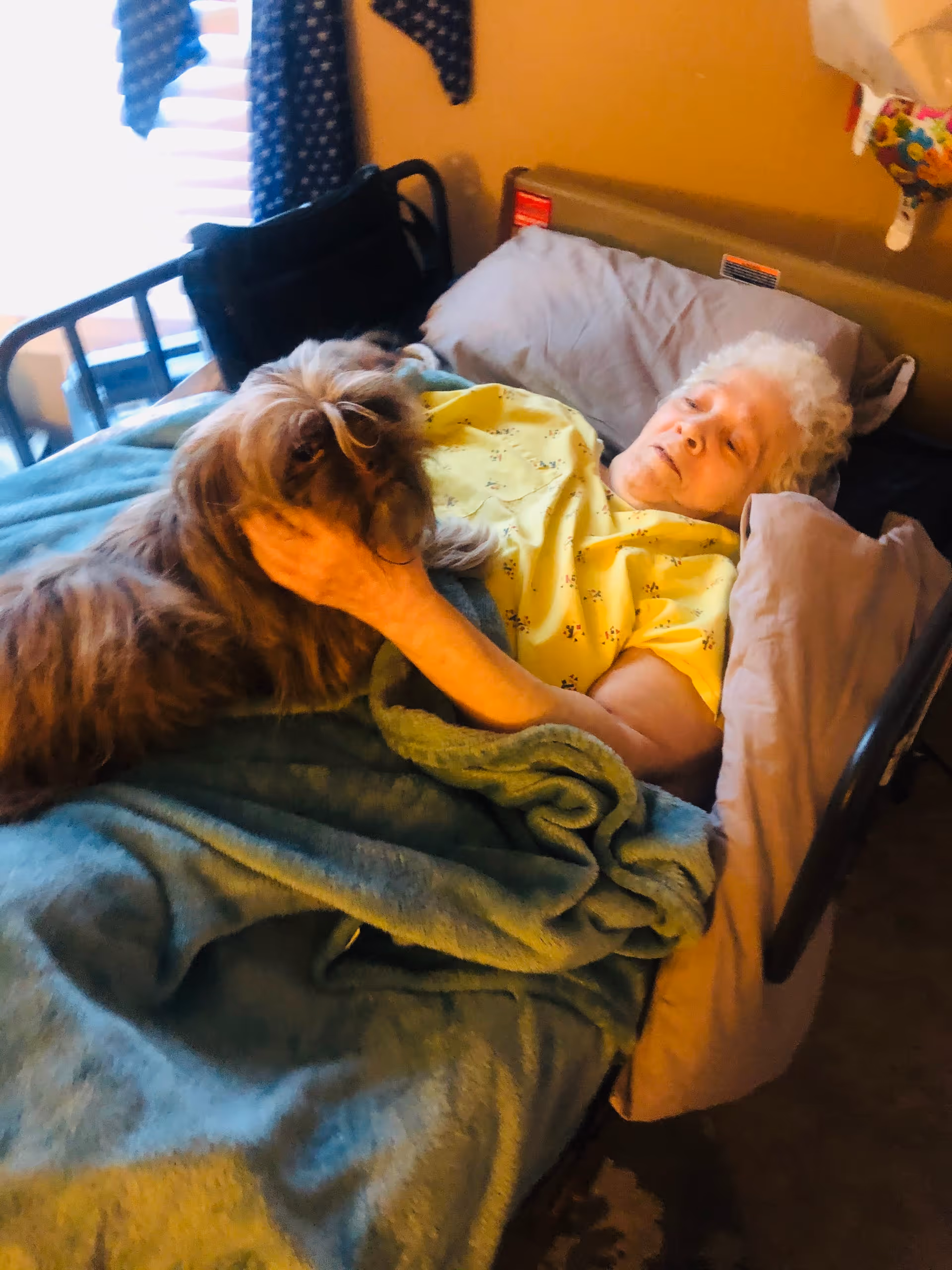 An elderly person lying in a bed covered with a blue blanket, gently holding and petting a small brown dog. The person is wearing a yellow shirt and appears to be in a cozy indoor setting with a window and curtains in the background.