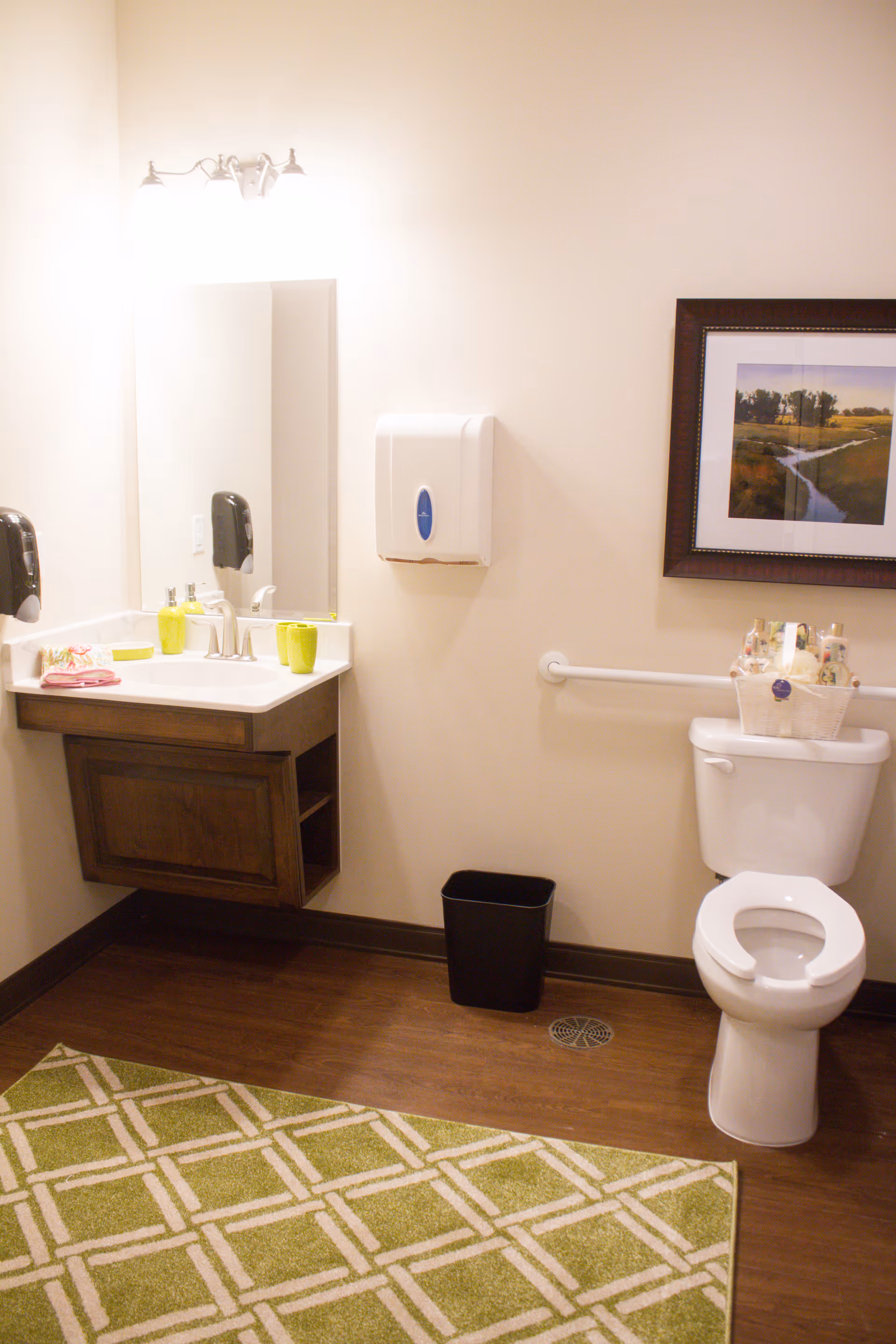 A clean and well-lit bathroom with a white toilet, a wooden vanity with a sink, a large mirror above the sink, a wall-mounted soap dispenser, a paper towel dispenser, a black trash bin, a green patterned rug on the wooden floor, and a framed landscape painting on the wall.