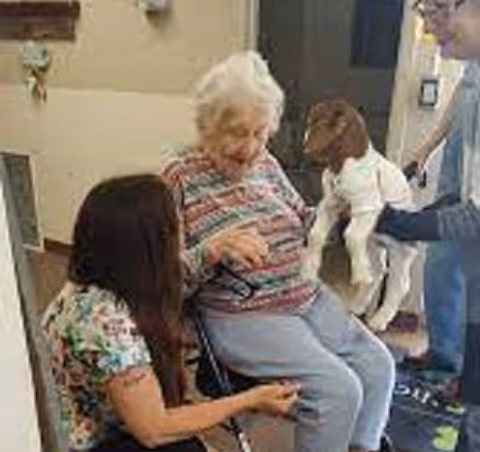 An elderly woman sitting in a wheelchair interacting with a person holding a dog dressed in white clothes, while another person kneels beside her in a room with beige walls.