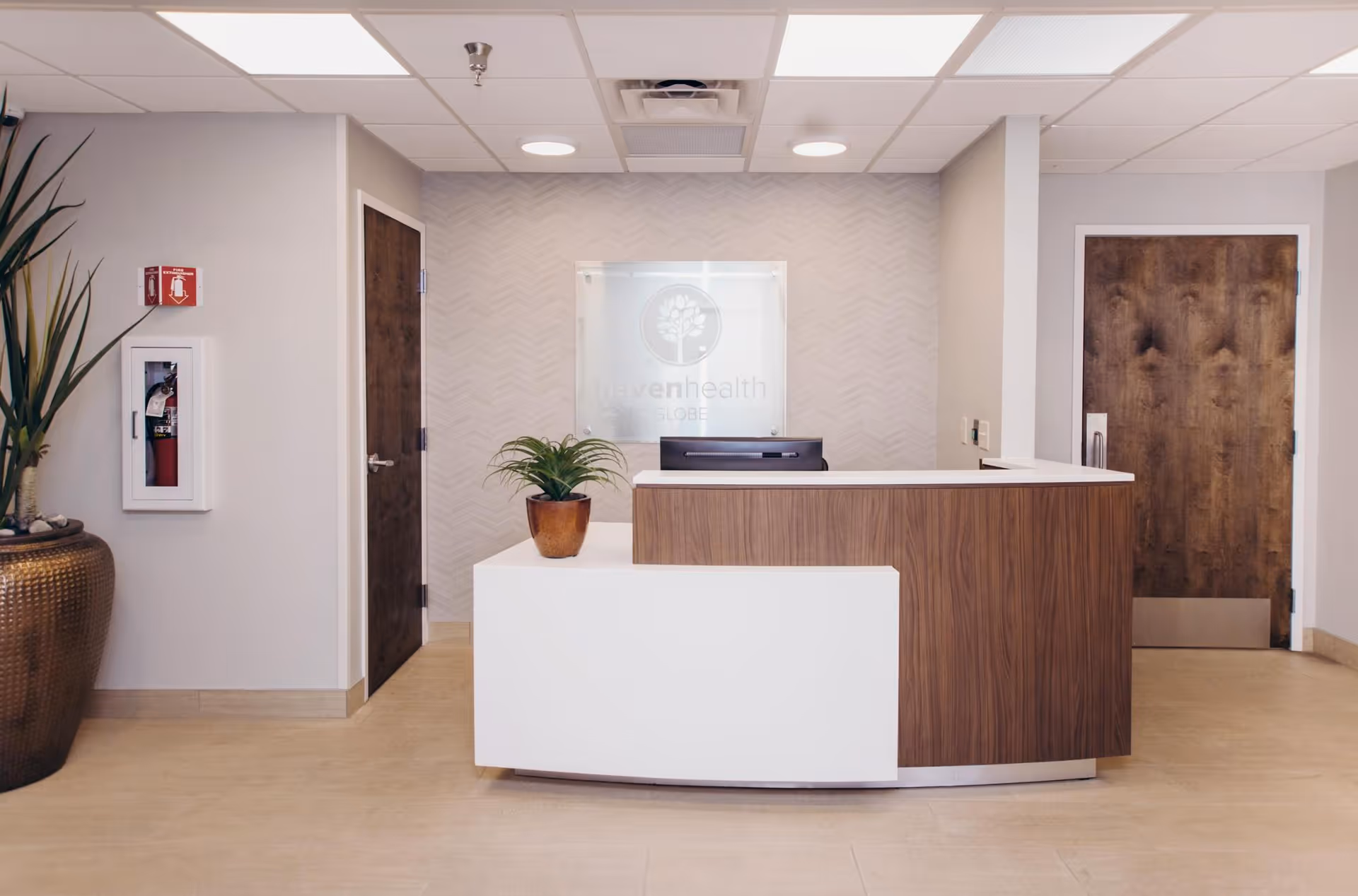 Reception area of Haven Health Globe featuring a modern wooden and white reception desk with a potted plant on it. Behind the desk is a wall with the Haven Health Globe logo. There are two wooden doors on either side of the reception desk, a large potted plant on the left, and a fire extinguisher mounted on the wall.