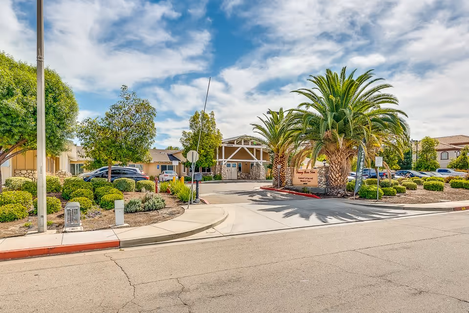 Entrance to Sunny Rose Senior Living facility with a driveway flanked by palm trees and landscaped bushes, a sign displaying the facility name, and a partly cloudy sky overhead.