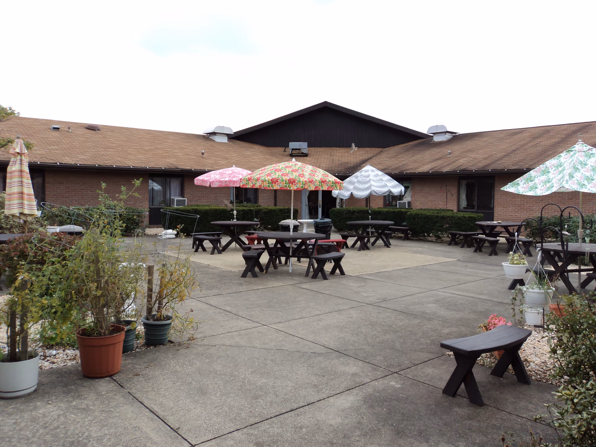 Outdoor patio area with several wooden picnic tables and benches, each shaded by colorful umbrellas. The patio is surrounded by potted plants and bushes, with a single-story brick building in the background.
