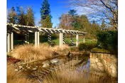 Outdoor courtyard featuring a stone pond, ornamental grasses, and a wooden pergola.