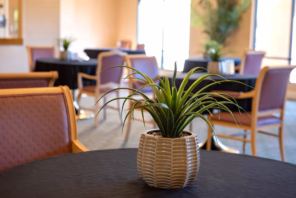 Potted plant centerpiece on a table in a communal dining room with chairs and tables blurred in the background.