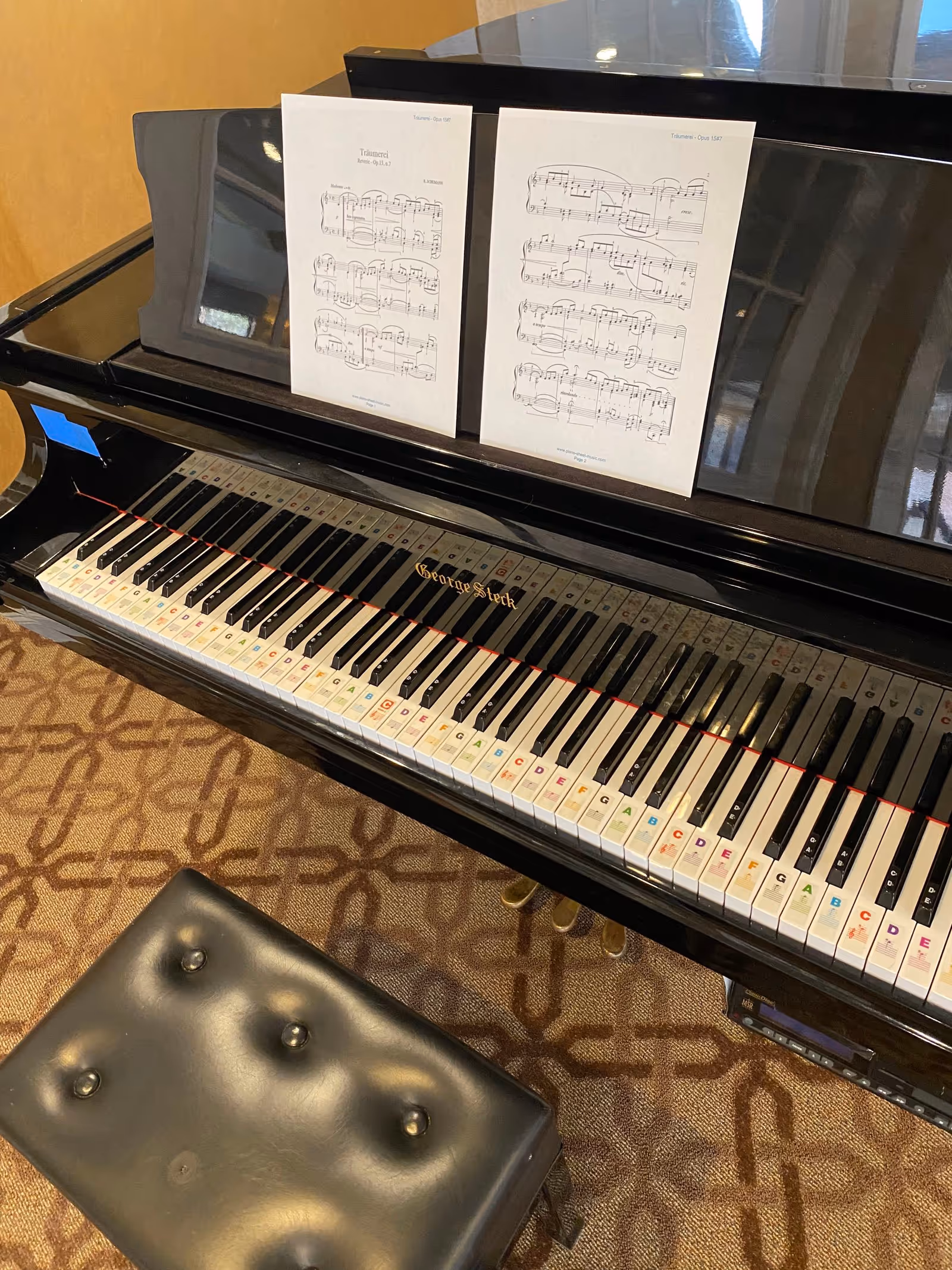 Black grand piano with labeled keys and sheet music on the stand, with a padded bench on patterned carpet.