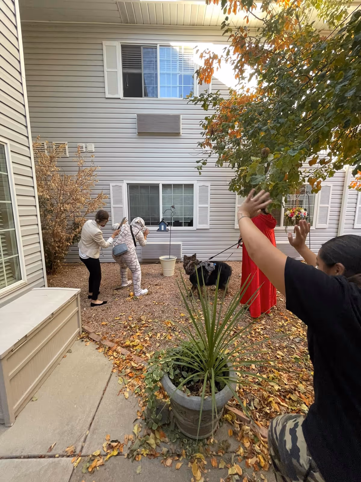 An outdoor courtyard area at Waneka Park Assisted Living with four people interacting near a building with white siding and windows. One person is dressed in a red cape, another is crouching with hands raised, and two others are standing near a dog on a leash. There are plants and fallen leaves on the ground.