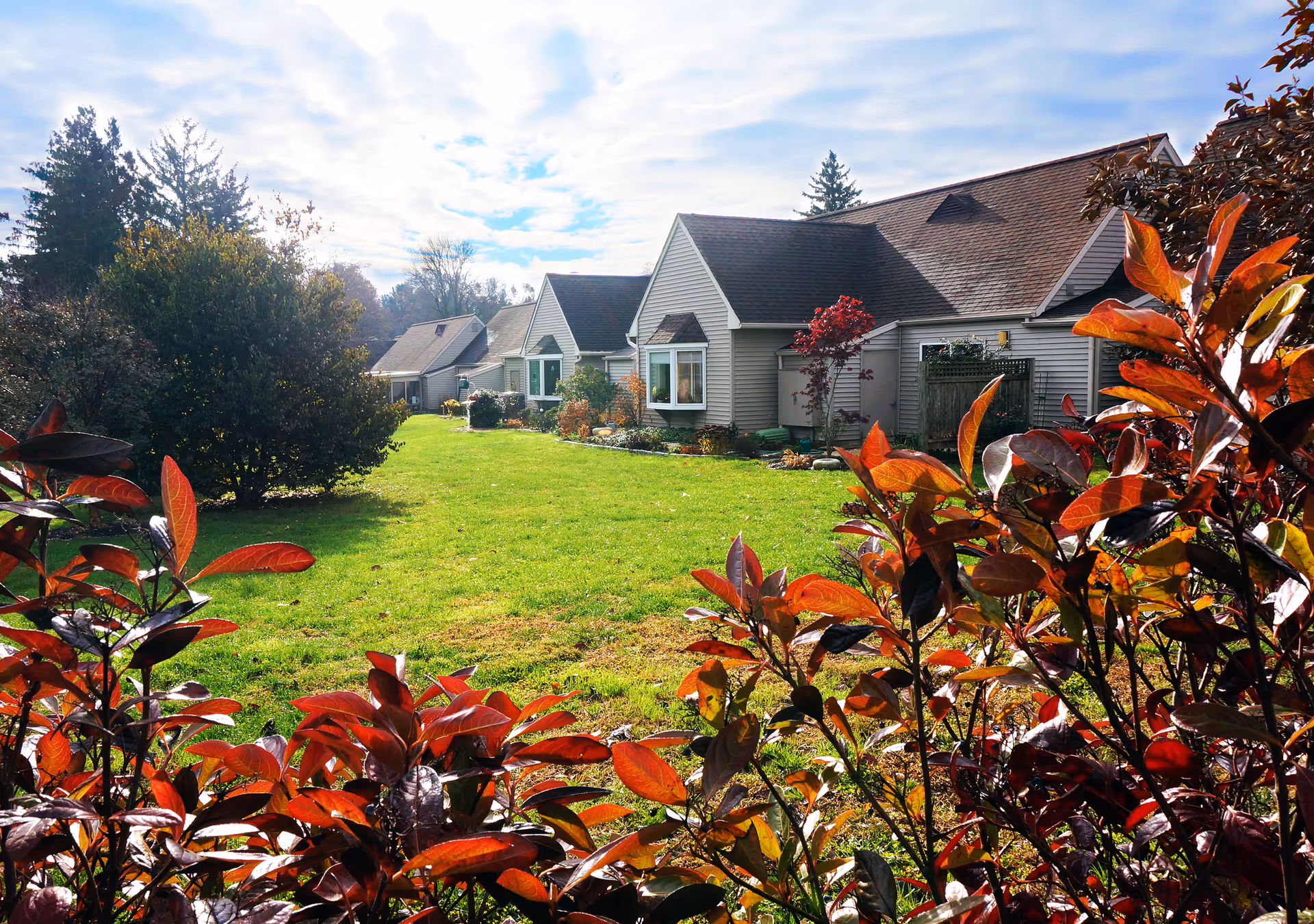 View of a grassy outdoor area with several single-story residential buildings in the background. The foreground has reddish-brown leafy shrubs, and the sky is partly cloudy with sunlight illuminating the scene.